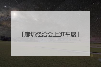 廊坊经洽会上逛车展