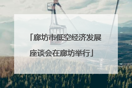 廊坊市低空经济发展座谈会在廊坊举行