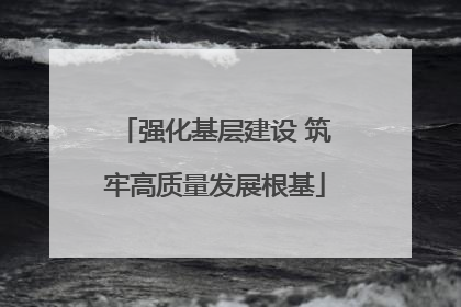 强化基层建设 筑牢高质量发展根基