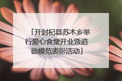 开封杞县苏木乡举行爱心食堂开业暨道德模范表彰活动