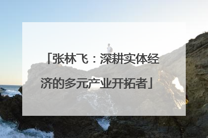 张林飞：深耕实体经济的多元产业开拓者