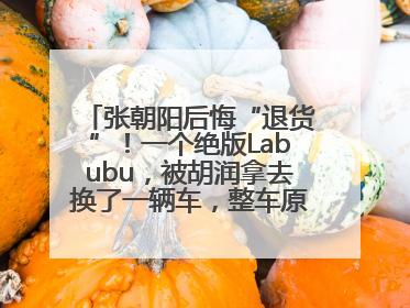 张朝阳后悔“退货”！一个绝版Labubu，被胡润拿去换了一辆车，整车原价值上百万元