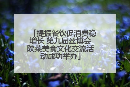 提振餐饮促消费稳增长 第九届丝博会陕菜美食文化交流活动成功举办