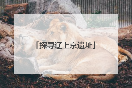探寻辽上京遗址