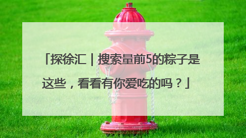 探徐汇｜搜索量前5的粽子是这些，看看有你爱吃的吗？