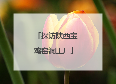 探访陕西宝鸡窑洞工厂