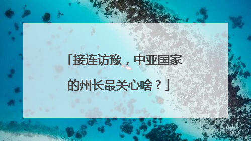 接连访豫，中亚国家的州长最关心啥？