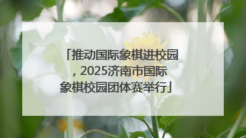 推动国际象棋进校园，2025济南市国际象棋校园团体赛举行