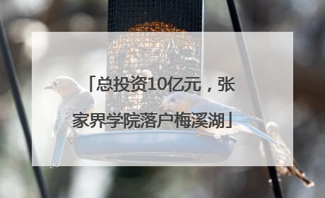总投资10亿元，张家界学院落户梅溪湖