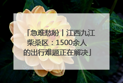 急难愁盼丨江西九江柴桑区：1500余人的出行难题正在解决