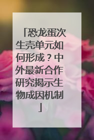 恐龙蛋次生壳单元如何形成？中外最新合作研究揭示生物成因机制