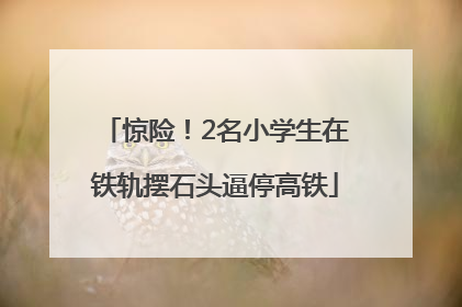 惊险！2名小学生在铁轨摆石头逼停高铁