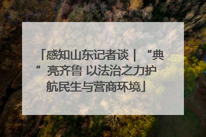 感知山东记者谈｜“典”亮齐鲁 以法治之力护航民生与营商环境