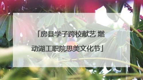 房县学子跨校献艺 燃动湖工职院思美文化节