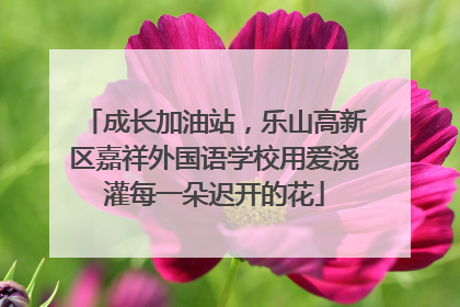 成长加油站，乐山高新区嘉祥外国语学校用爱浇灌每一朵迟开的花