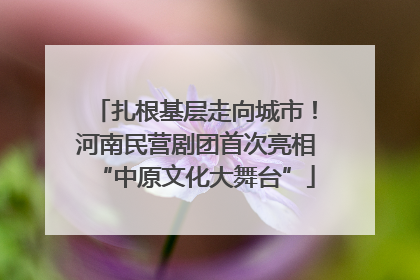 扎根基层走向城市！河南民营剧团首次亮相“中原文化大舞台”