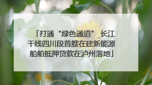 打通“绿色通道” 长江干线四川段首艘在建新能源船舶抵押贷款在泸州落地