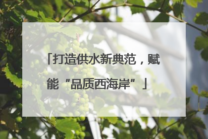 打造供水新典范，赋能“品质西海岸”