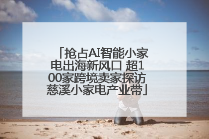 抢占AI智能小家电出海新风口 超100家跨境卖家探访慈溪小家电产业带