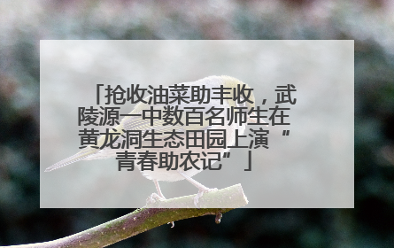 抢收油菜助丰收，武陵源一中数百名师生在黄龙洞生态田园上演“青春助农记”