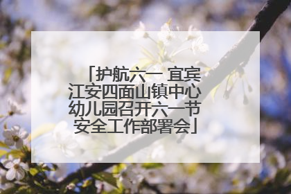 护航六一 宜宾江安四面山镇中心幼儿园召开六一节安全工作部署会