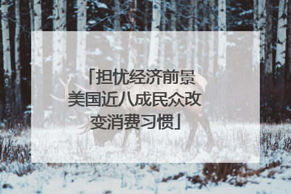 担忧经济前景 美国近八成民众改变消费习惯