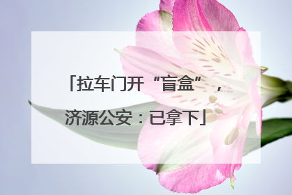 拉车门开“盲盒”，济源公安：已拿下