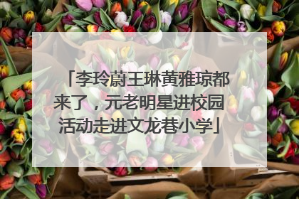 李玲蔚王琳黄雅琼都来了，元老明星进校园活动走进文龙巷小学