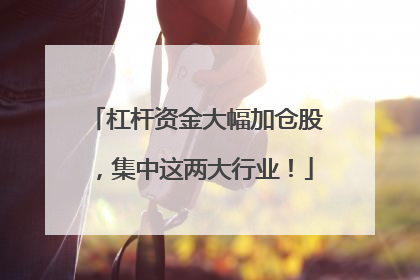 杠杆资金大幅加仓股，集中这两大行业！