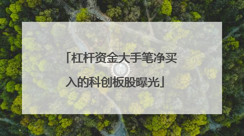 杠杆资金大手笔净买入的科创板股曝光