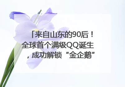 来自山东的90后！全球首个满级QQ诞生，成功解锁“金企鹅”，是继承父亲账号