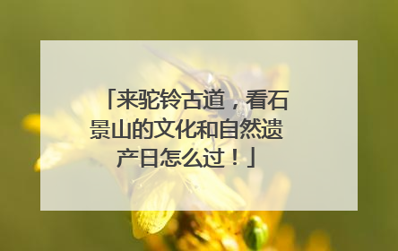 来驼铃古道，看石景山的文化和自然遗产日怎么过！