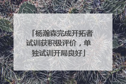 杨瀚森完成开拓者试训获积极评价，单独试训开局良好