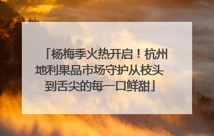 杨梅季火热开启！杭州地利果品市场守护从枝头到舌尖的每一口鲜甜
