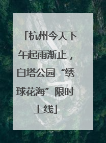 杭州今天下午起雨渐止，白塔公园“绣球花海”限时上线