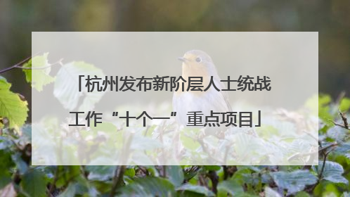 杭州发布新阶层人士统战工作“十个一”重点项目