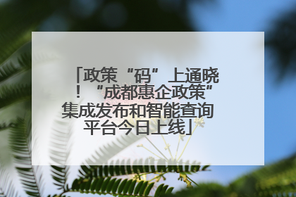 政策“码”上通晓！“成都惠企政策”集成发布和智能查询平台今日上线