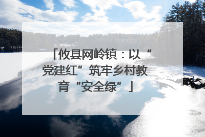 攸县网岭镇：以“党建红”筑牢乡村教育“安全绿”