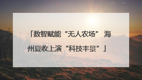 数智赋能“无人农场” 海州夏收上演“科技丰景”
