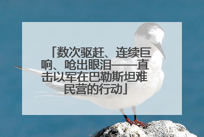 数次驱赶、连续巨响、呛出眼泪——直击以军在巴勒斯坦难民营的行动