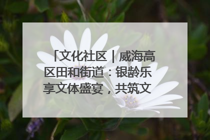 文化社区｜威海高区田和街道：银龄乐享文体盛宴，共筑文化社区幸福共同体