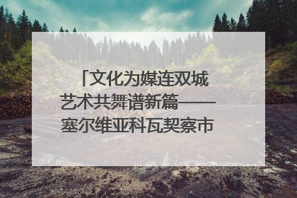 文化为媒连双城 艺术共舞谱新篇——塞尔维亚科瓦契察市代表团访问日照
