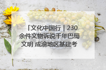 文化中国行｜230余件文物诉说千年巴蜀文明 成渝地区基建考古成果展开展