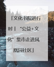 文化书院进行时丨“公益+文化”集市走进凤凰园社区