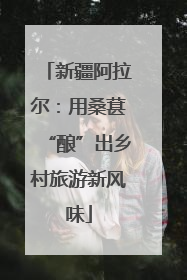 新疆阿拉尔：用桑葚“酿”出乡村旅游新风味