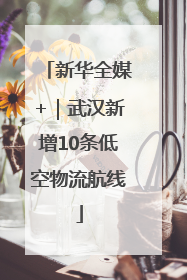 新华全媒+｜武汉新增10条低空物流航线