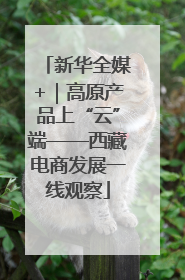 新华全媒+｜高原产品上“云”端——西藏电商发展一线观察