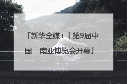 新华全媒+丨第9届中国—南亚博览会开幕