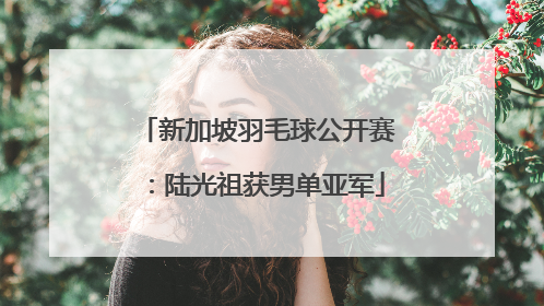 新加坡羽毛球公开赛：陆光祖获男单亚军