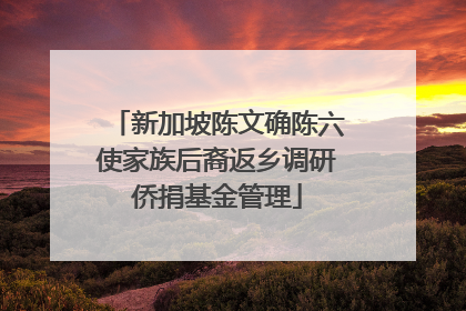 新加坡陈文确陈六使家族后裔返乡调研侨捐基金管理